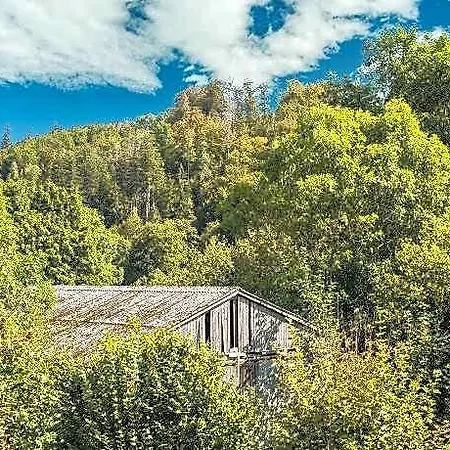 Moderne Am Wald In Schwalefeld Willingen (Upland)